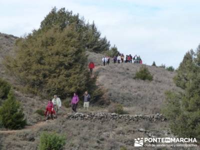 senderismo madrid niños;club single madrid;rutas a pie por la sierra de madrid